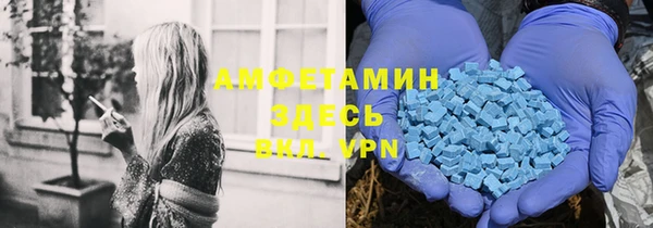 индика Богородицк