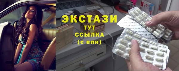 индика Богородицк