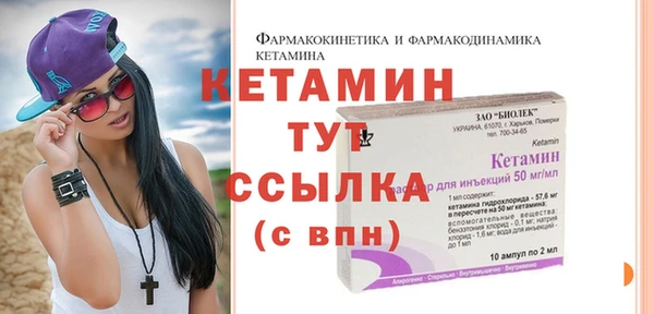 индика Богородицк