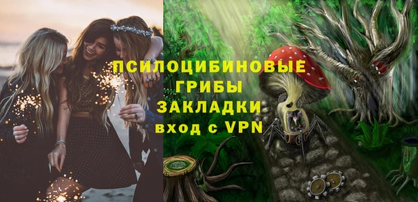 индика Богородицк