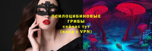 прущая мука Богородск