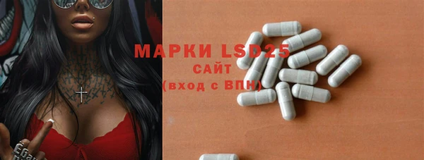 индика Богородицк