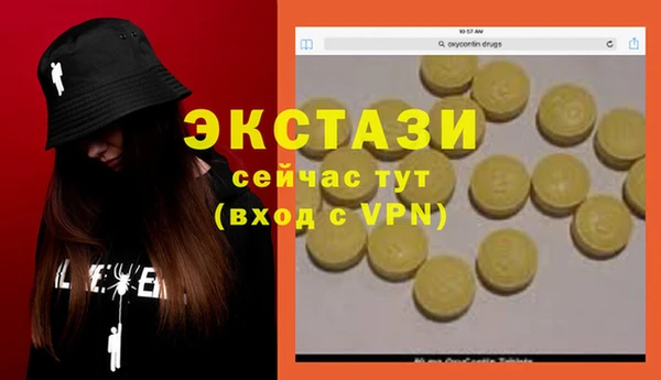 индика Богородицк