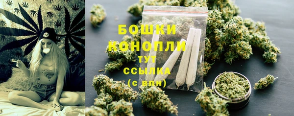 индика Богородицк
