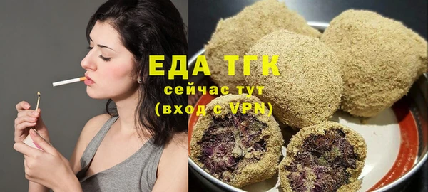 индика Богородицк