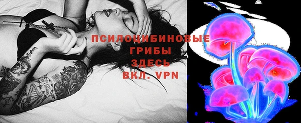 индика Богородицк
