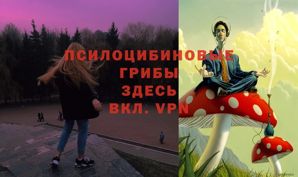 прущая мука Богородск