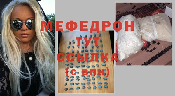 индика Богородицк
