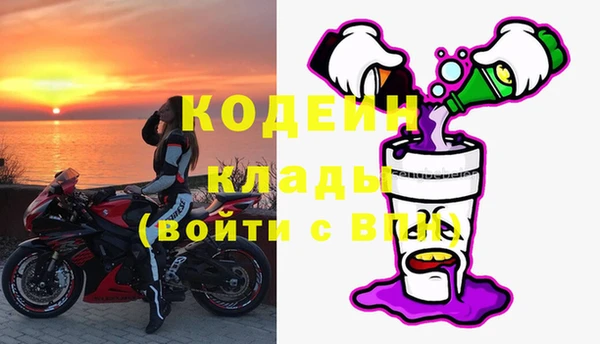 индика Богородицк