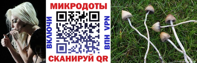 Псилоцибиновые грибы MAGIC MUSHROOMS  наркошоп  Минусинск 